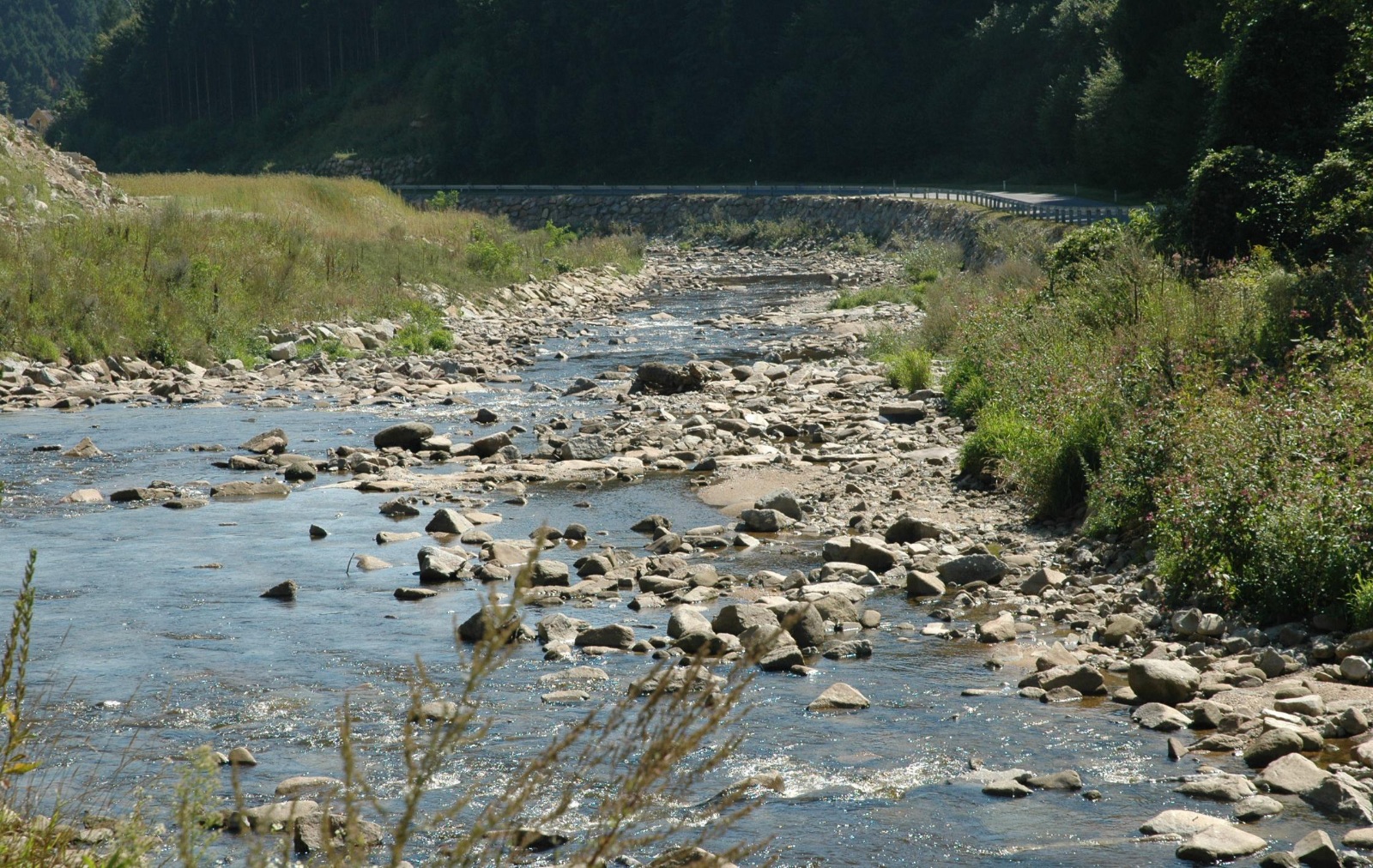 The Aist river running clear past the Merckens mill